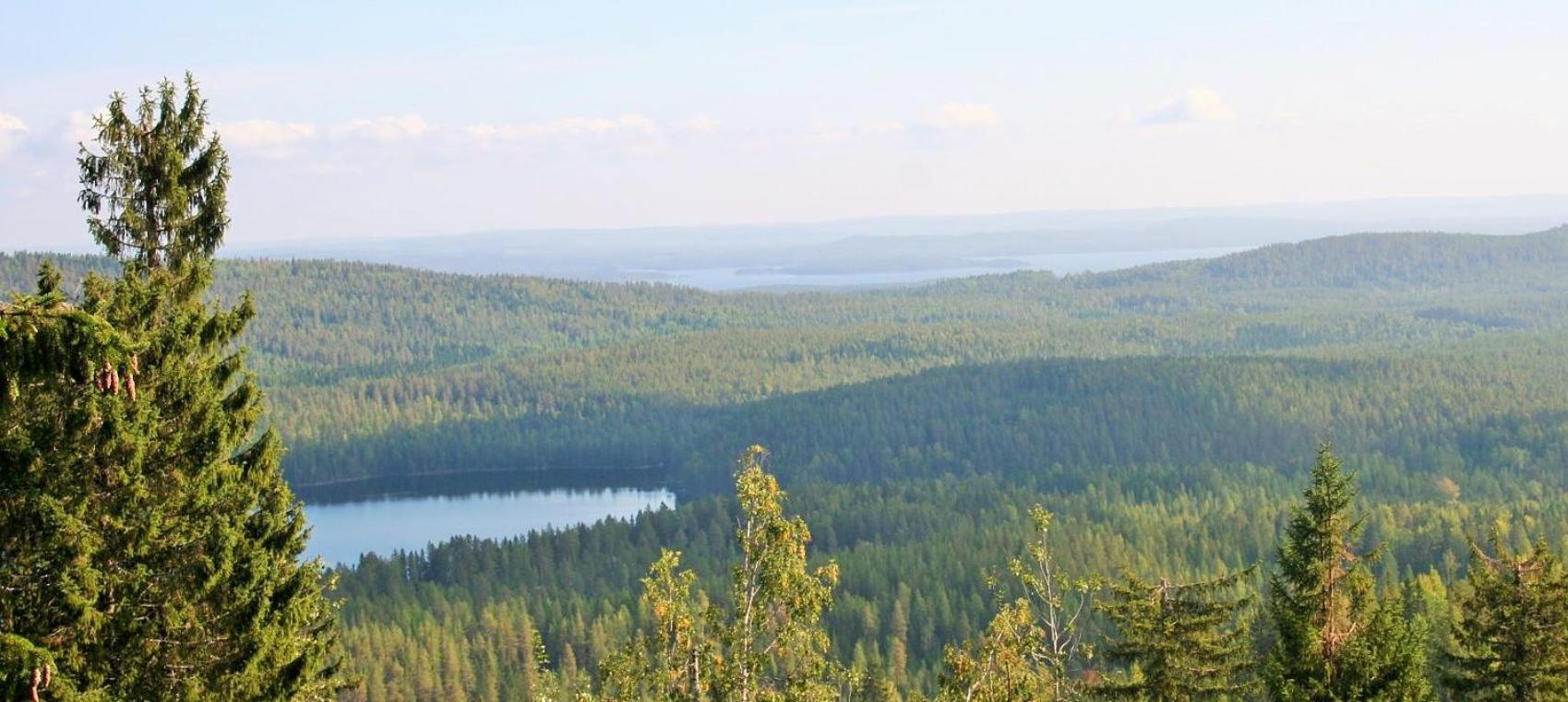 Guesthouse Koli Freetime Ahmovaara Exterior photo