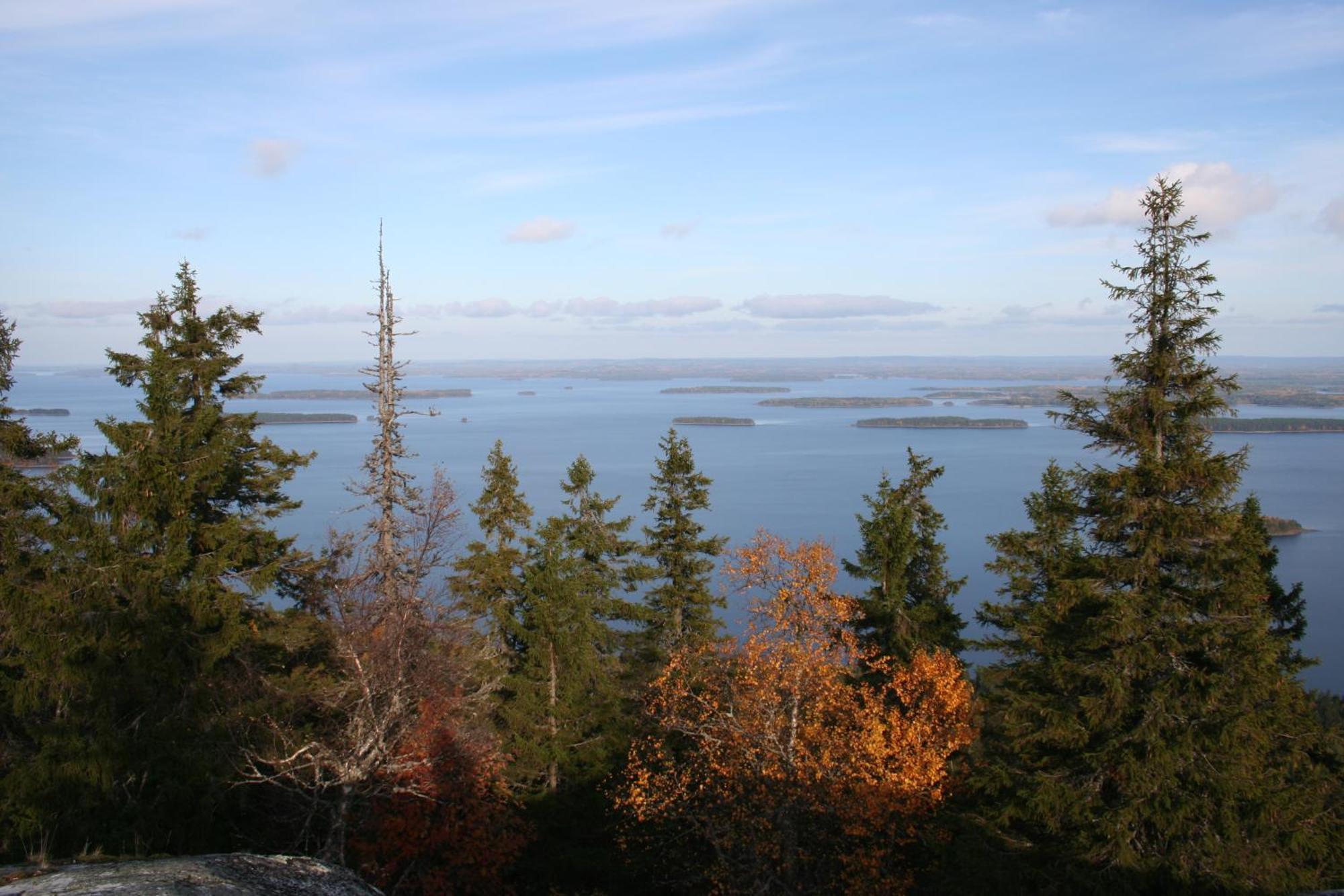 Guesthouse Koli Freetime Ahmovaara Exterior photo